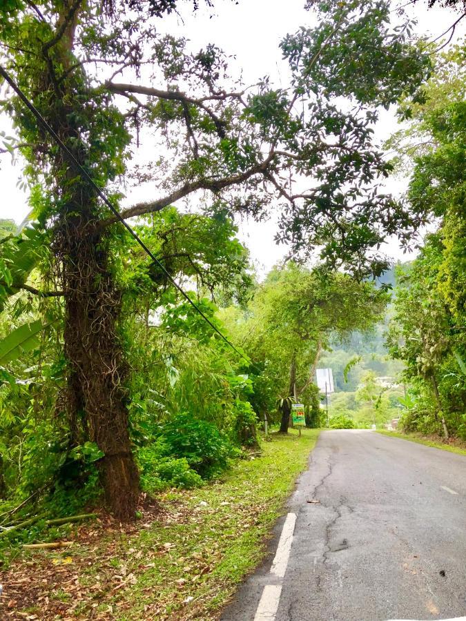 Selesa Resort Homestay Janda Baik Eksteriør billede